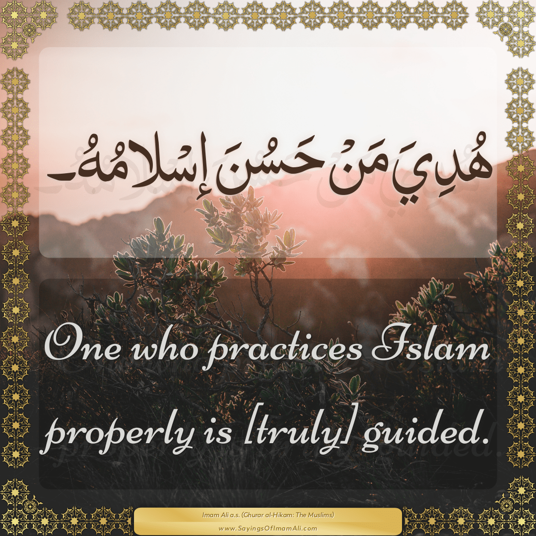 One who practices Islam properly is [truly] guided.